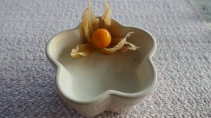 Kokospudding
