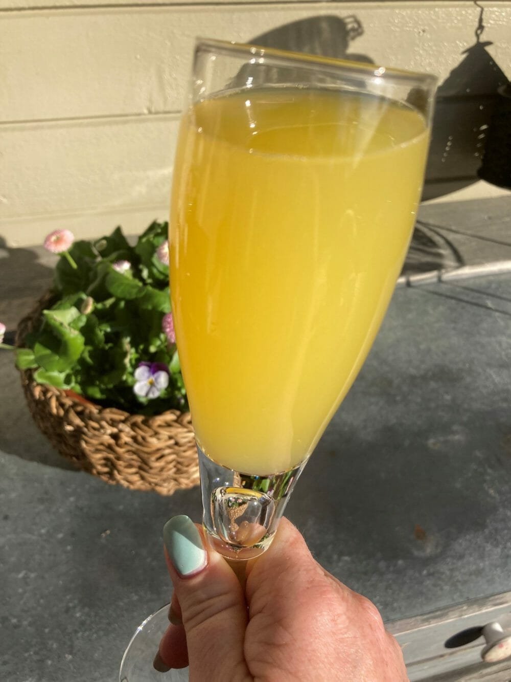 Buck's Fizz Buck's Fizz