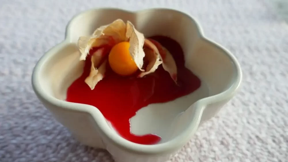 Kokospudding med bringebærcoulis