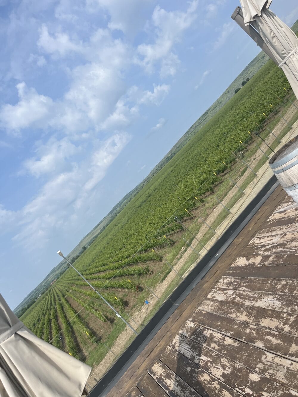 LacertA Winery 2