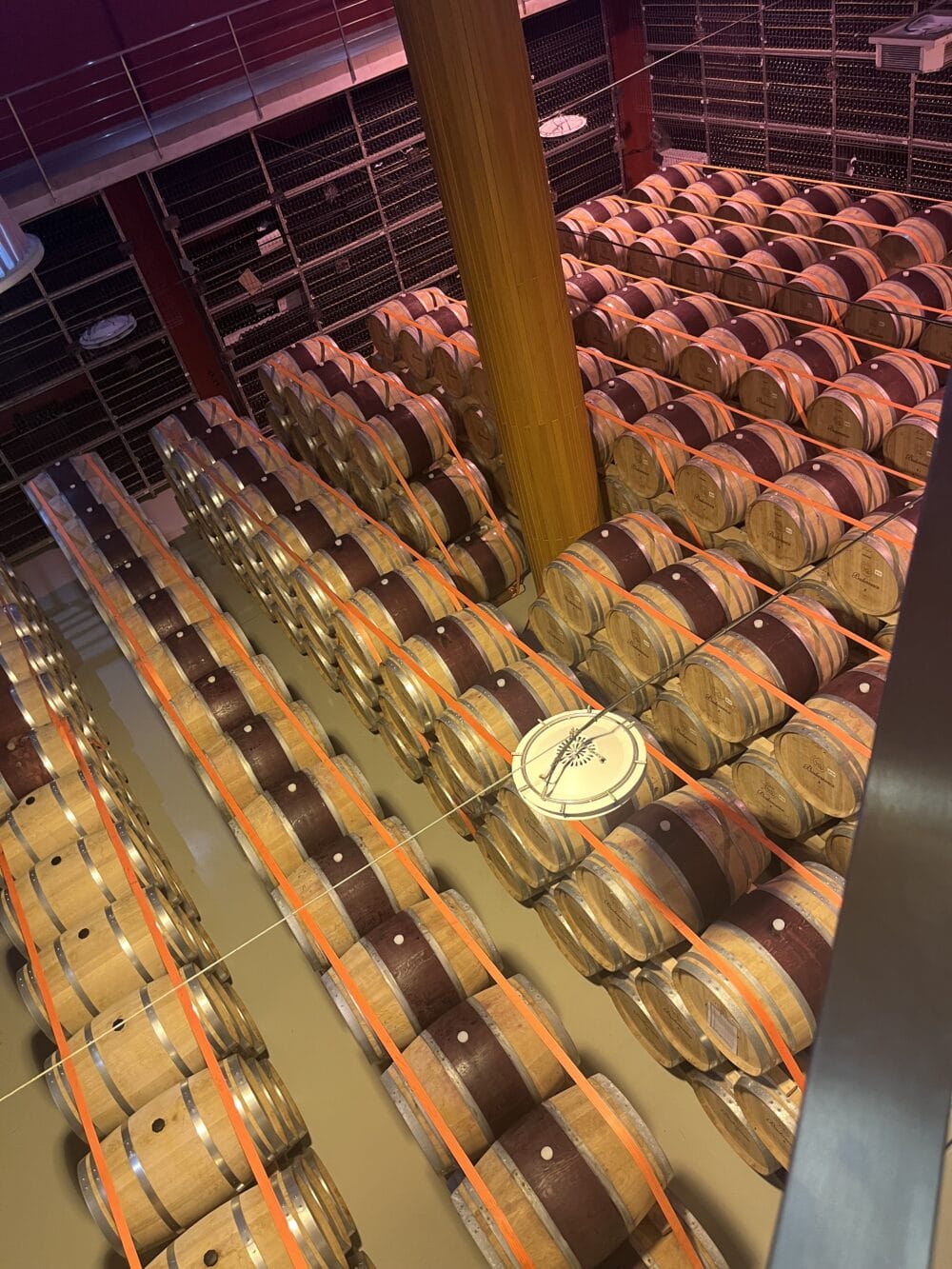 LacertA Winery 3