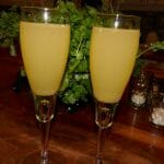 Mimosa