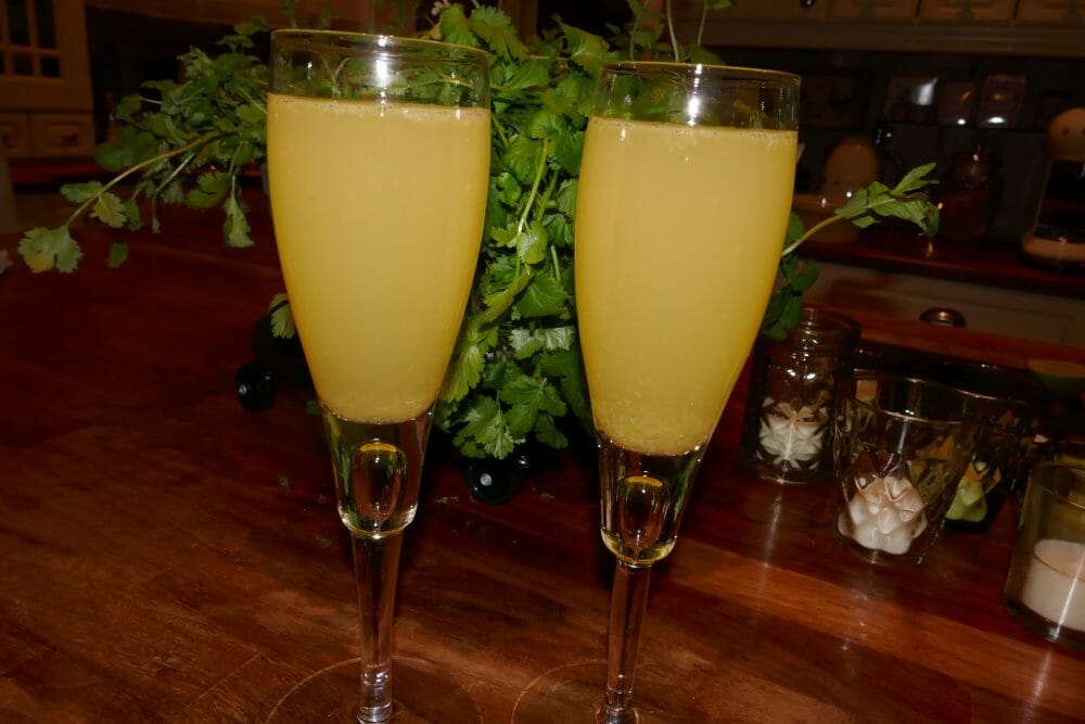 Mimosa